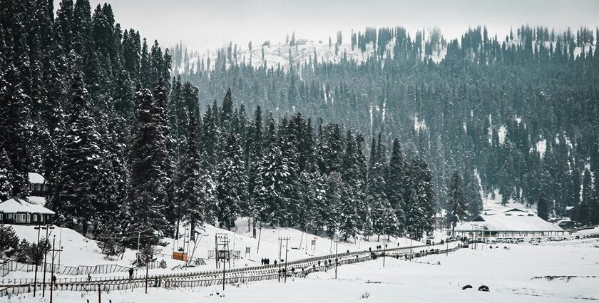 Snow covered meadows in Gulmarg in winters - find best camping in Gulmarg