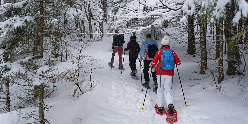 Snowshoeing is a unique winter activity that you can enjoy in the Parvati Valley