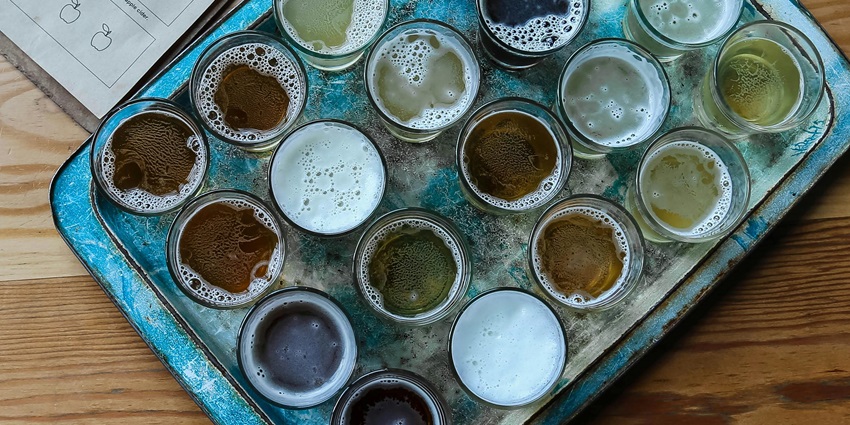 Solan Brewery is one of the oldest breweries in Himachal Pradesh that is a must-visit.