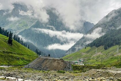 Camping in Sonmarg covered in green meadows and snow-capped mountains in the background