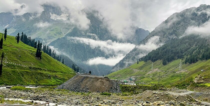 Camping in Sonmarg covered in green meadows and snow-capped mountains in the background