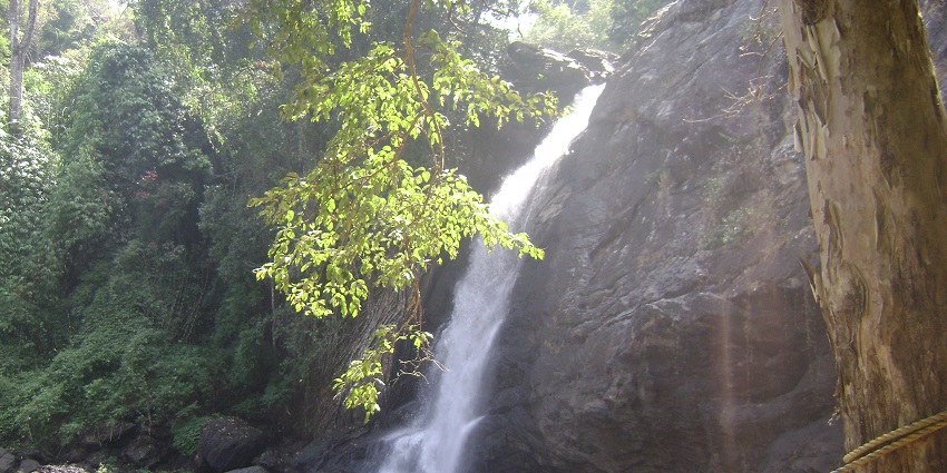 Cherish the spectacular view of the majestic Soochipara Waterfalls on your trip to Kerala.