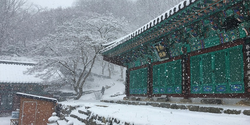 South Korea is one of the most majestic places to visit in winter in the world for all.