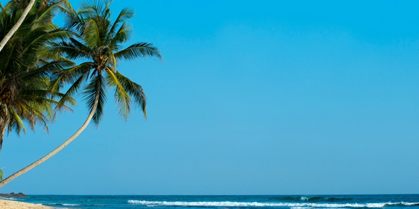 The best time to visit Mahamevnawa Buddhist Monastery is from December to March.