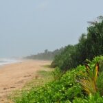 Golden sand beach with gentle waves, scattered palm trees - Hidden beaches in Sri Lanka.