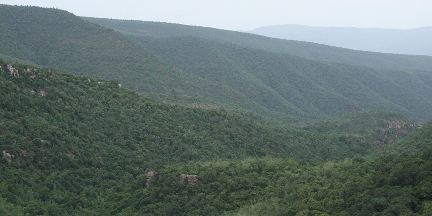 Enjoy the breathtaking views of nature at the famous Sri Venkateswara National Park.