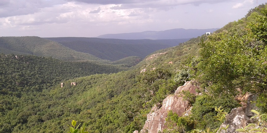 Panoramic image of Venkateswara national park in Tirumala temple hill, Andhra