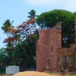 An image of a red wall of a fort surrounded by trees, with a sea nearby