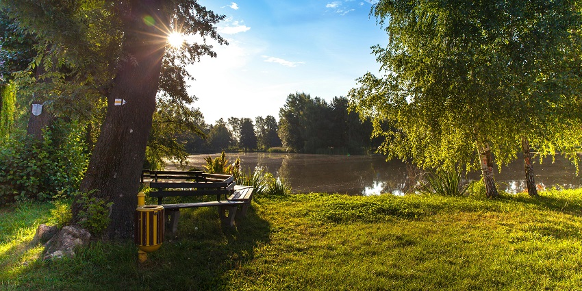 A view of the tranquil lake in the historical park of Sukhothai nestled in the region.