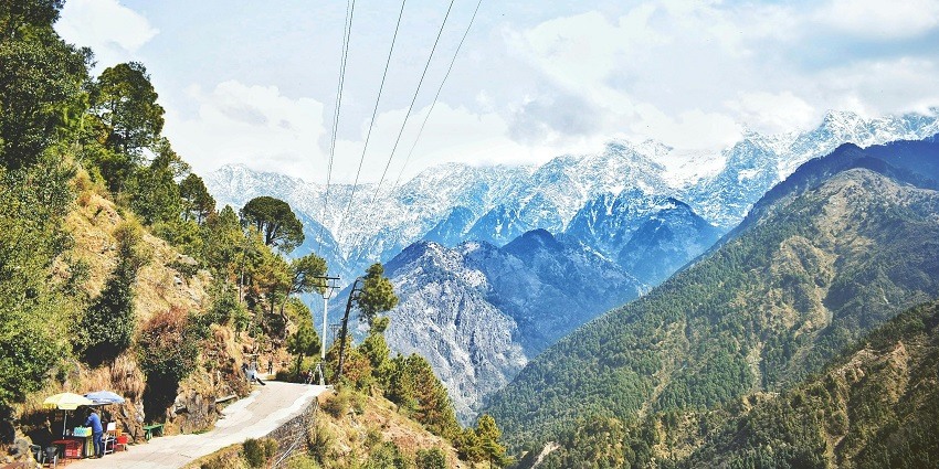 Summer Hill has a dense and tranquil forest of pine and deodar trees adjoining it.