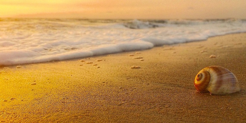 Celebrate your new year party in Kochi while sun gazing leisurely and peacefully at the Vypin Island.