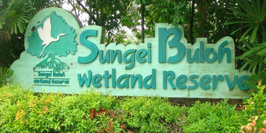 A mesmerising view of a board saying Sungei Buloh Wetland in green during the daytime.
