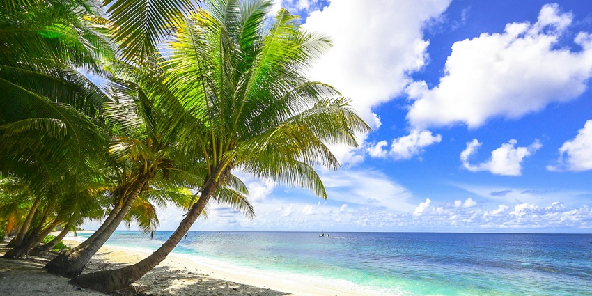 Golden sandy beach with gentle waves, clear blue water, and a sunny sky overhead.