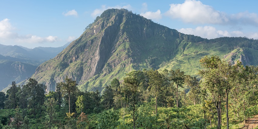 A picture of a mountain peak in Ella with a lush green trail for an adventurous hike
