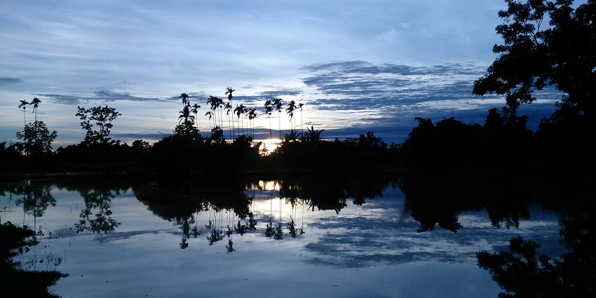 Lohawka Wildlife Sanctuary, covered in semi-evergreen trees, is one of the best wildlife sanctuaries in Mizoram.