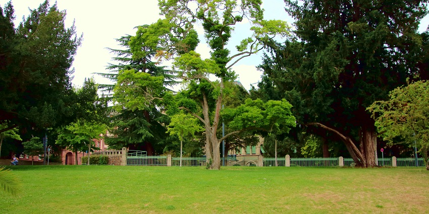 Suryasen Park is one of the most breathtaking places to visit in Siliguri for all.