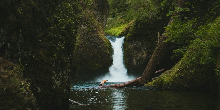 Swimming is one of the most amazing and serene things to do near Ilanjippara Waterfalls.