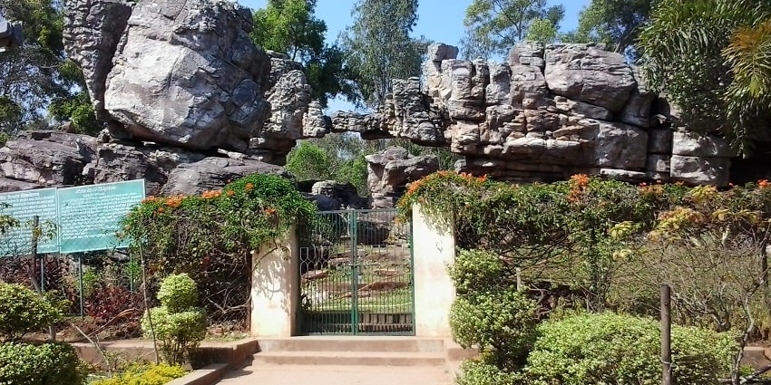 TTD Gardens offers lush green views amidst which one can take a stroll in the evening.