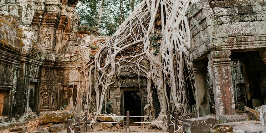 Witness the archaeological ruins at Ta Prohm which is one of the Cambodian Temples.