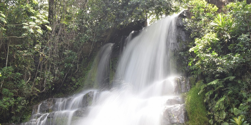 A serene view of frothy waters dripping down the hills and is surrounded by greenery.