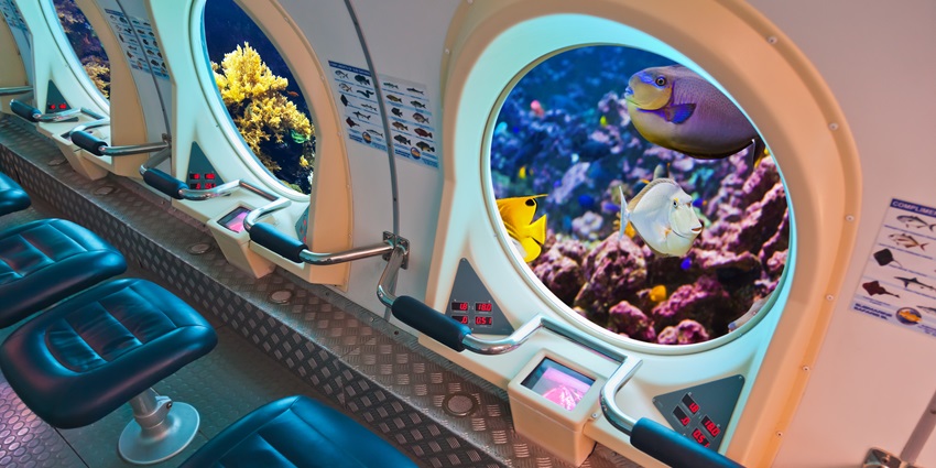 An amazing view of the vibrant marine life from the window of a submarine underwater.