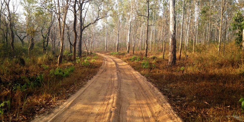 Off‑road jeep safari in Ulipooni Wildlife Sanctuary, speeding through forested hilly terrain.