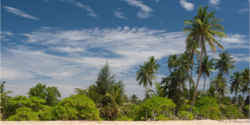 Just a few kms away from Tangalle Beach, Tangalle Lagoon is worth spending time at.