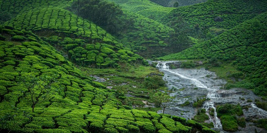 A breathtaking view of a lush green hillside with a stream of water flowing through it.