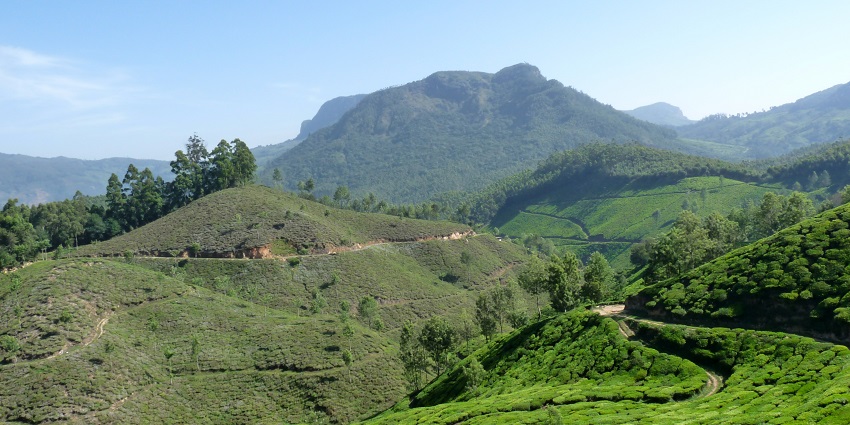 This museum is a must-visit educational destinations on your trip to Munnar