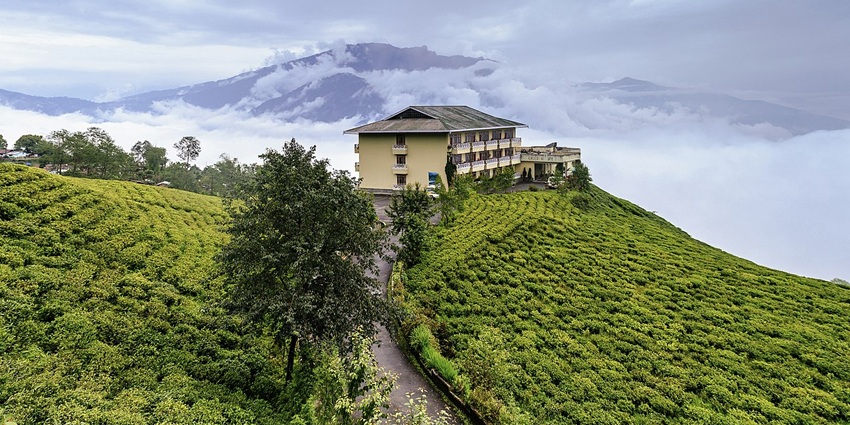 Cherry Resort within Temi Tea Garden in Namchi, Sikkim, offering panoramic views of lush tea plantations