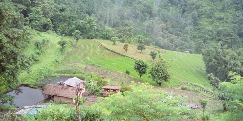 Trek through the breathtaking landscapes of Tendong Hill, and cherish panoramic views.