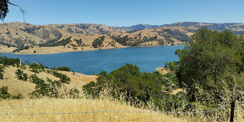 Thajangi Reservoir is one of the must-visit spots to savour serenity and natural beauty.