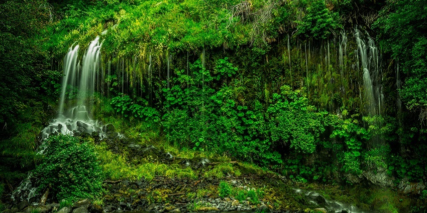 A glimpse of the Thala Waterfall, one of the best waterfalls in Himachal Pradesh.