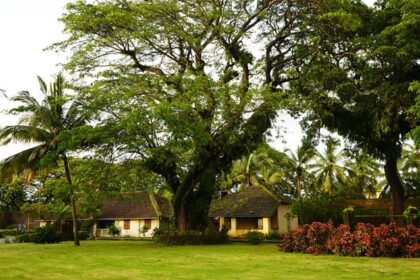 Thalassery fort is one of the best places to visit in Kerala for all history enthusiasts