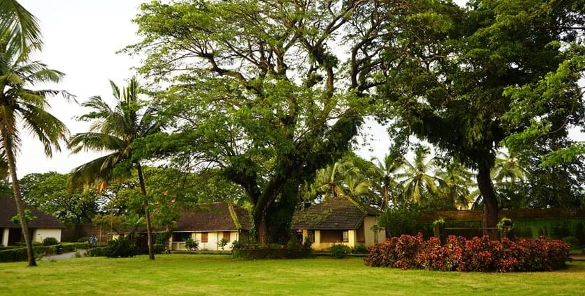 Thalassery fort is one of the best places to visit in Kerala for all history enthusiasts