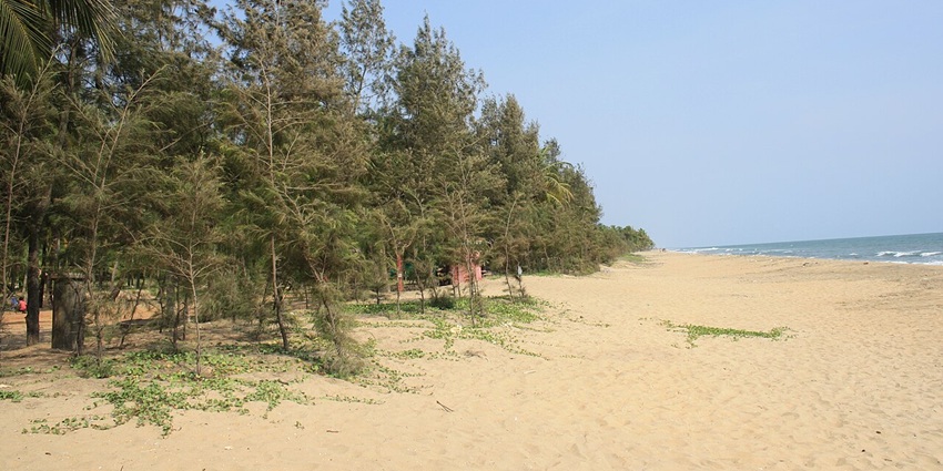 A picture of the serene golden sand of a one of the best beaches near Guruvayur