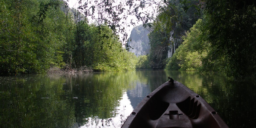 Snapshot of a dense forest and the river taken from over the mad pulled boat, Thailand