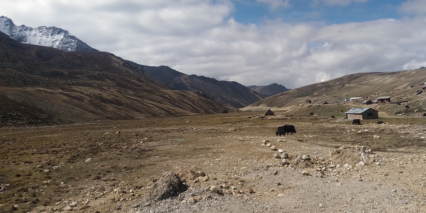 Thangu valley, among places to visit in North Sikkim, is a perfect retreat to relax and unwind.