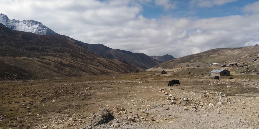 A picture of the barren land in the Thangu Valley with views of snow-capped mountains in the background