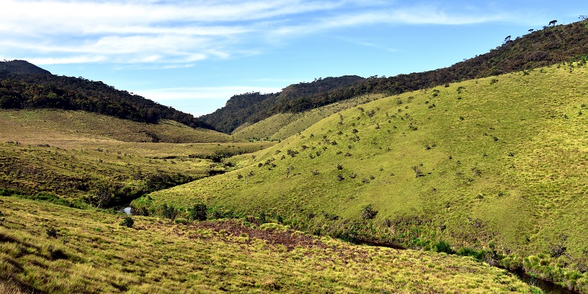 Indulge in a circular trek which offers popular and scenic lush green landscapes.