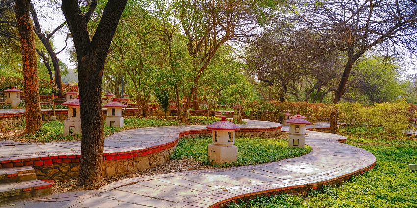 The Garden of Five Senses is one of the best places you can explore for amazing views.