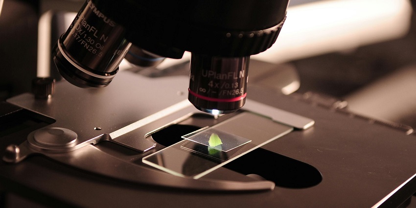 The Indian Institute of Science Museum is one of the most amazing places to visit for all.