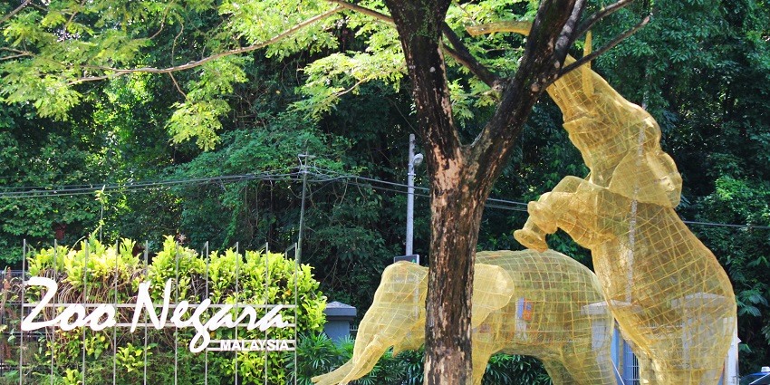 The National Zoo Of Malaysia is home to a vast variety of wildlife, and aquatic life.