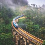 Panoramic view of a train passing through a ridge in the middle of dense forest and fog