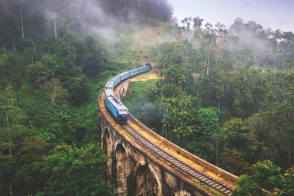 Panoramic view of a train passing through a ridge in the middle of dense forest and fog