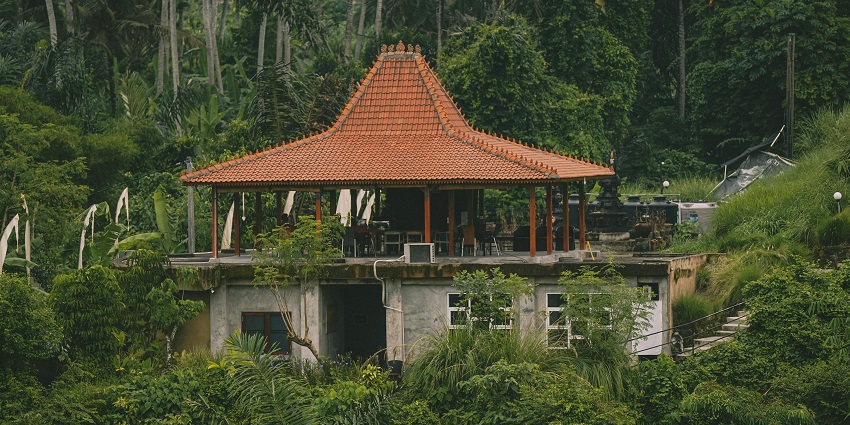 The Tall Trees, an upcountry resort located in a beautiful forest, provides an excellent backdrop.