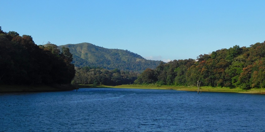 Visit Thekkady and enjoy views of the azure waters of the lake here and go on a boat cruise
