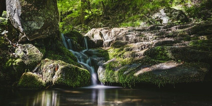 From nature walks to photography, there are many things to do near Kanayi Waterfalls.