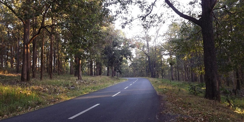 Tholpetty wildlife sanctuary is house to a diverse range of flora and fauna