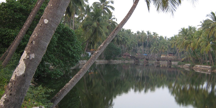 Thottada Beach is one of the most serene beaches near Wayanad which tourists shouldn’t miss.